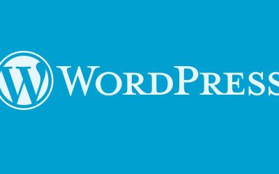 How to Add A New User on WordPress